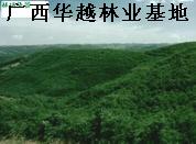 企业形象