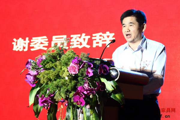 大涌镇党委委员谢巧明代表党委政府发言