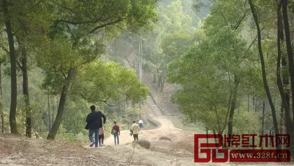 大涌正致力于建设生态优美、产业可持续发展的特色小镇