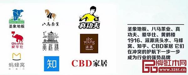 叶茂中冲突理论践行品牌