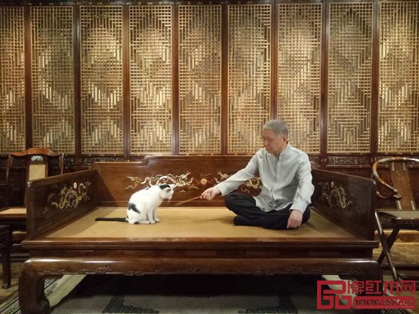 马未都先生与观复博物馆里的猫馆长